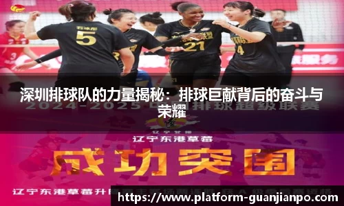 深圳排球队的力量揭秘:排球巨献背后的奋斗与荣耀